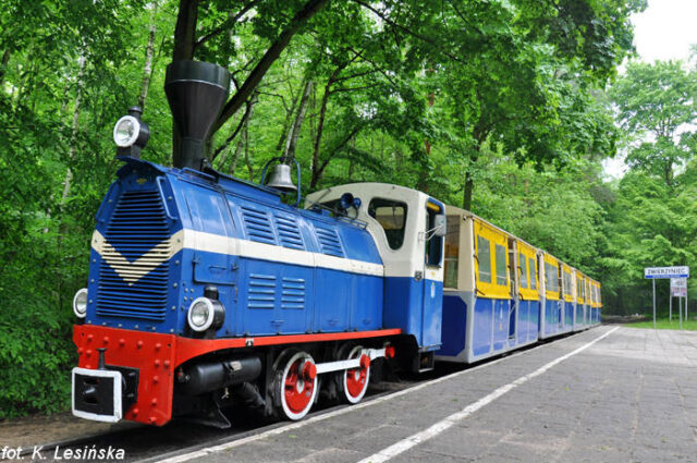 lokomotywa-wls-50-100-02