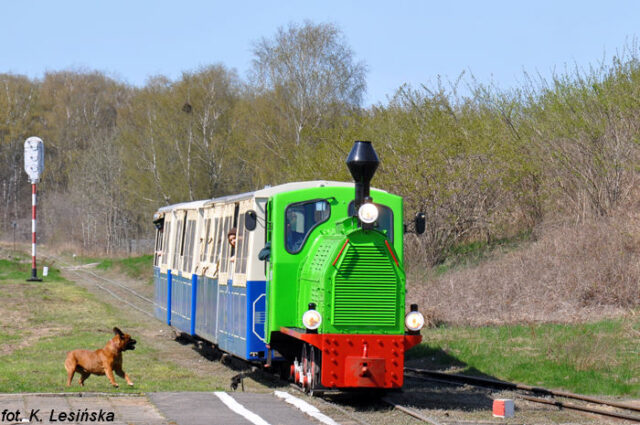 lokomotywa-wls-50-1225-05