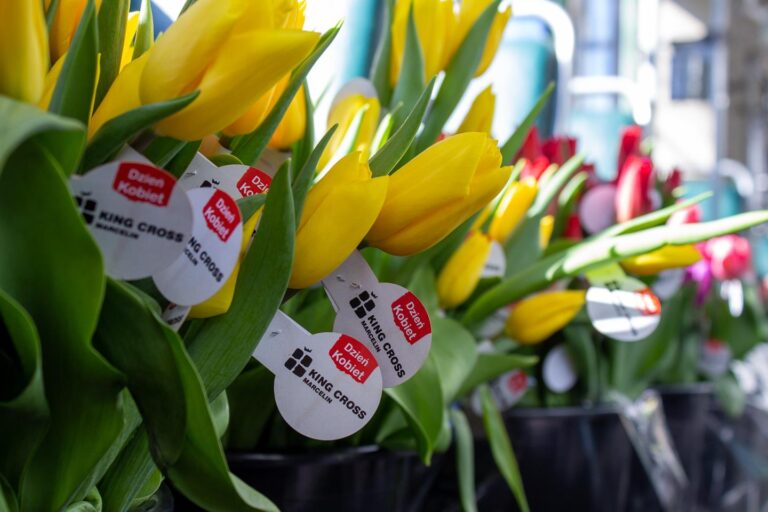 Kolorowe tulipany z zawieszkami, na których widnieje napis Dzień Kobiet. King Cross Marcelin
