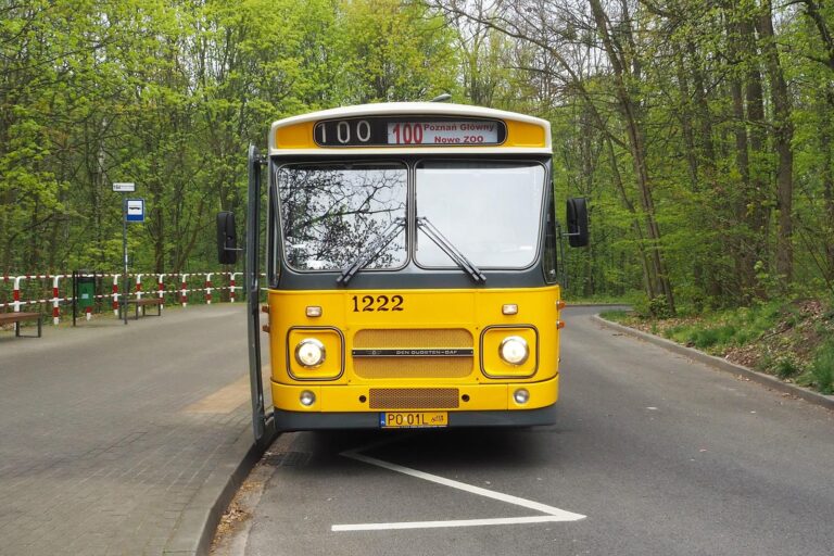 Żółty autobus DAF, w tle las
