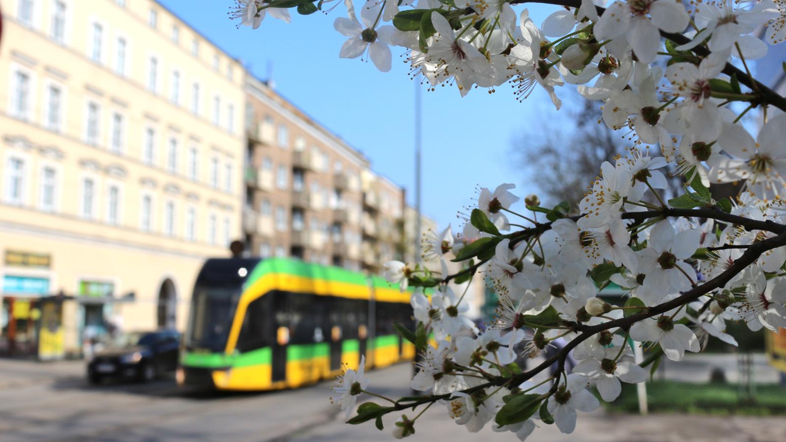 MPK Poznań Sp. z o.o.