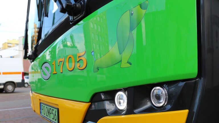 Namalowany na autobusie jamnik z ogonem zakończonym wtyczką