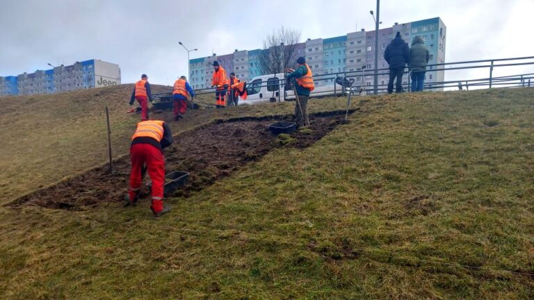 Pracownicy w odblaskowych kamizelkach na skarpie przy przekopanym fragmencie ziemi