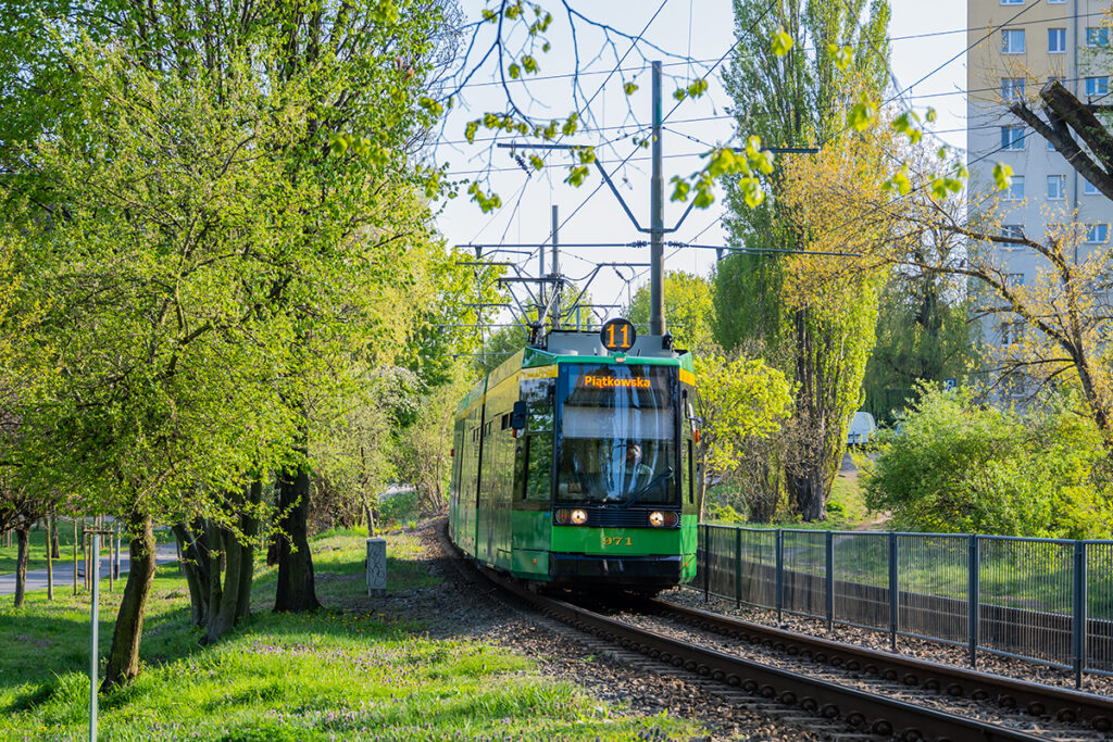 NGT6 R1.1