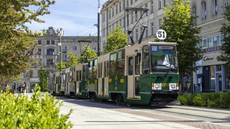 Tramwaj złożony z trzech wagonów w zielonym centrum Poznania