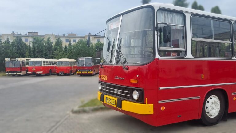 Na pierwszym planie przód autobusu Ikarus, w tle inne historyczne autobusy, wszystkie w kolorze czerwonym