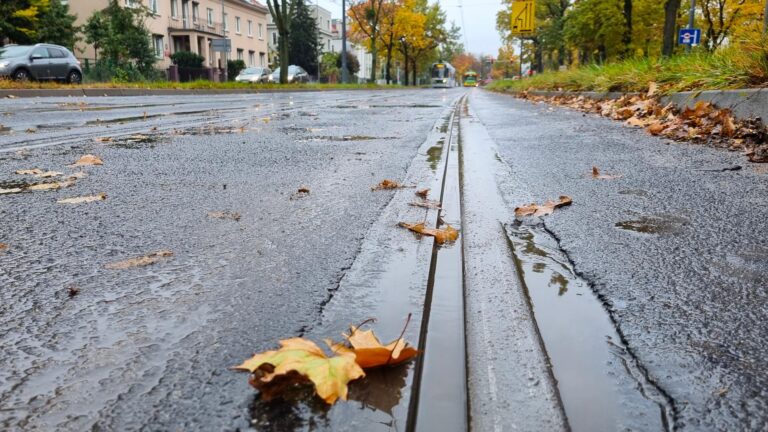 Mokre liście leżące na torowisku, w oddali tramwaj